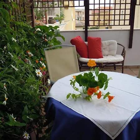 Pluminas 3*